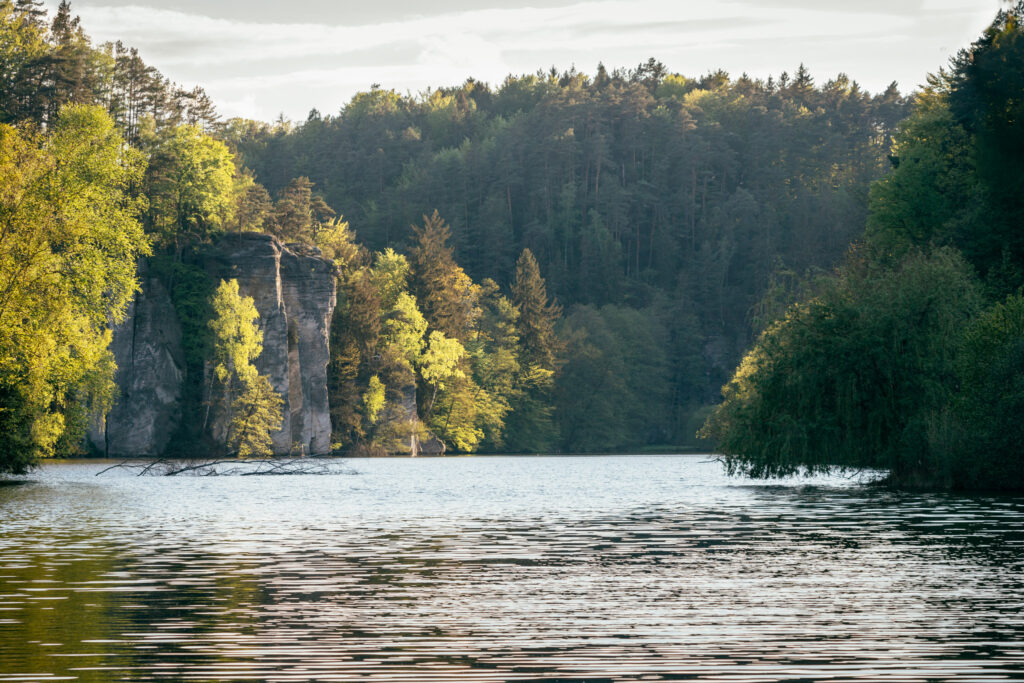 rybník Věžák, Podtrosecká údolí