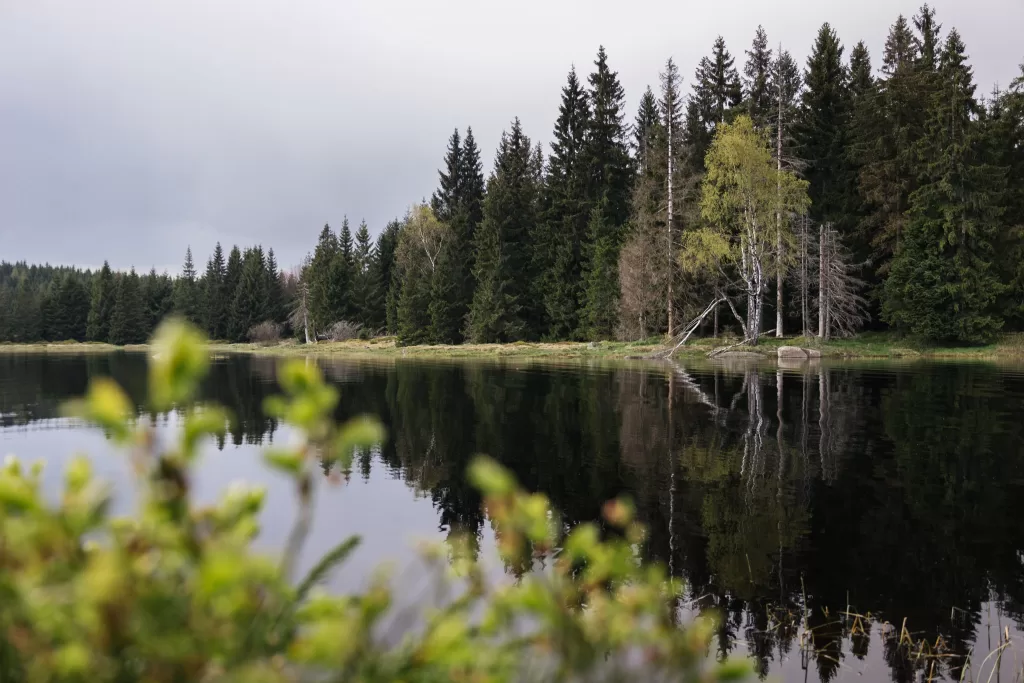 Černá Nisa, Bedřichov