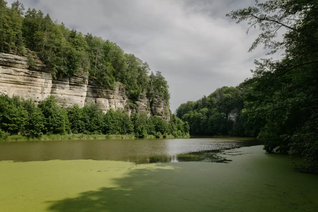 Oborský rybník, údolí Plakánek