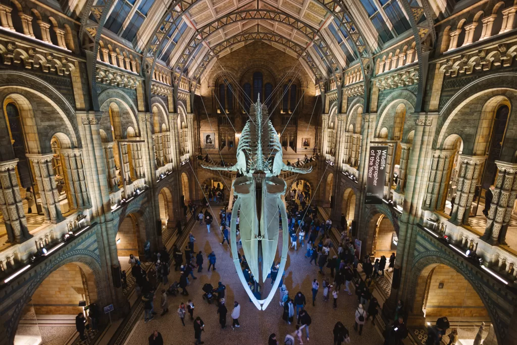 Natural history museum